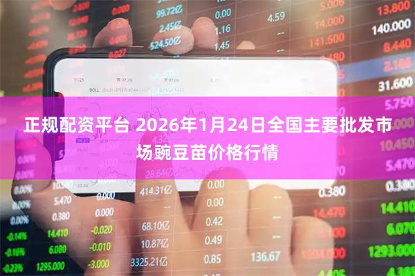 正规配资平台 2026年1月24日全国主要批发市场豌豆苗价格行情
