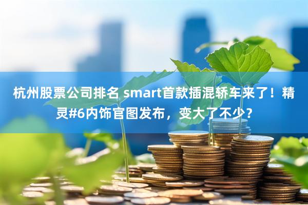 杭州股票公司排名 smart首款插混轿车来了!精灵#6内饰官图发布,变大了不少?