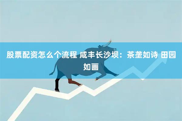 股票配资怎么个流程 咸丰长沙坝：茶垄如诗 田园如画
